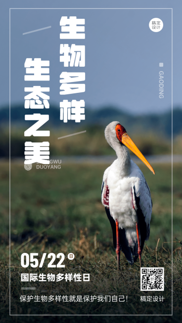 国际生物多样性日排版宣传手机海报预览效果