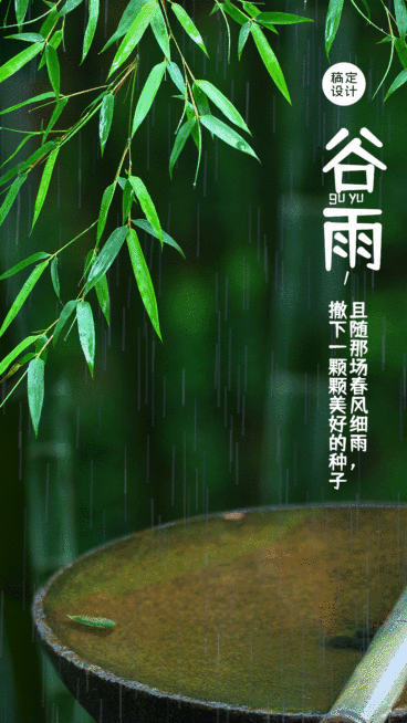 谷雨节气祝福春天下雨动态手机海报预览效果