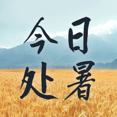 处暑节气秋天稻田农耕公众号次图