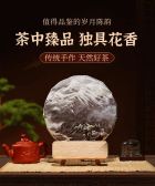 模板缩略图