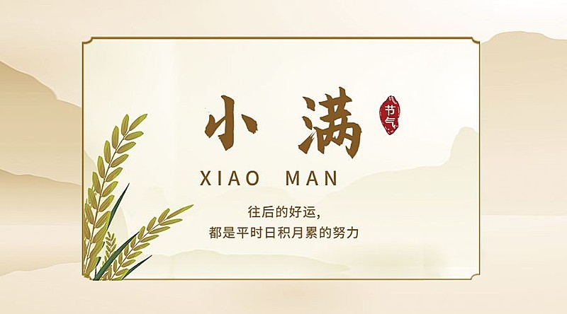 小满节气祝福问候手绘横版海报