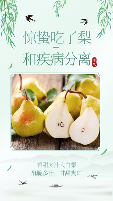 惊蛰吃梨产品展示燕子柳叶清新预览效果