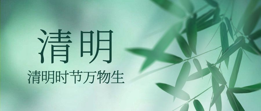 清明节追思春天杨柳手绘公众号首图预览效果