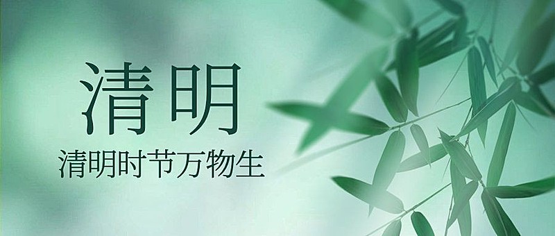 清明节追思春天杨柳手绘公众号首图