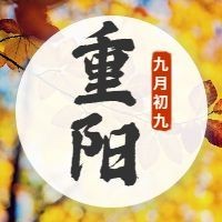 九月初九重阳节简约实景公众号次图预览效果