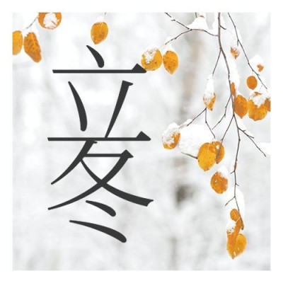 立冬节气日签实景雪花公众号次图