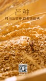 模板缩略图