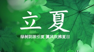 立夏节气祝福问候夏天广告banner