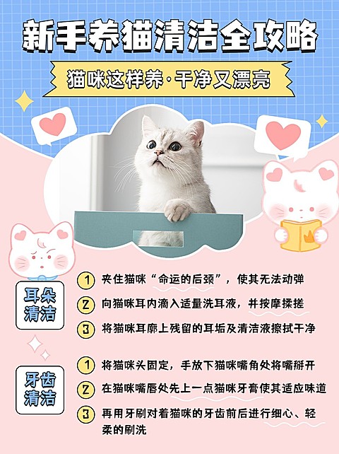 宠物知识攻略科普小红书配图