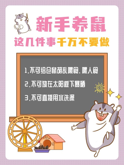 仓鼠宠物饲养知识科普小红书封面预览效果