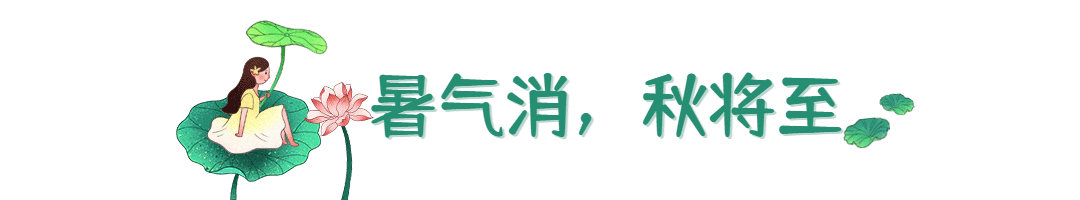 处暑节日节气动态文章标题预览效果