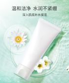 模板缩略图