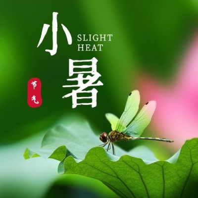 小暑节气祝福蜻蜓夏天公众号次图