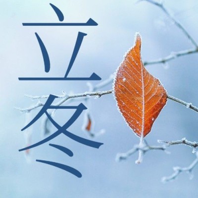 立冬节气树枝实景特写祝福公众号次图