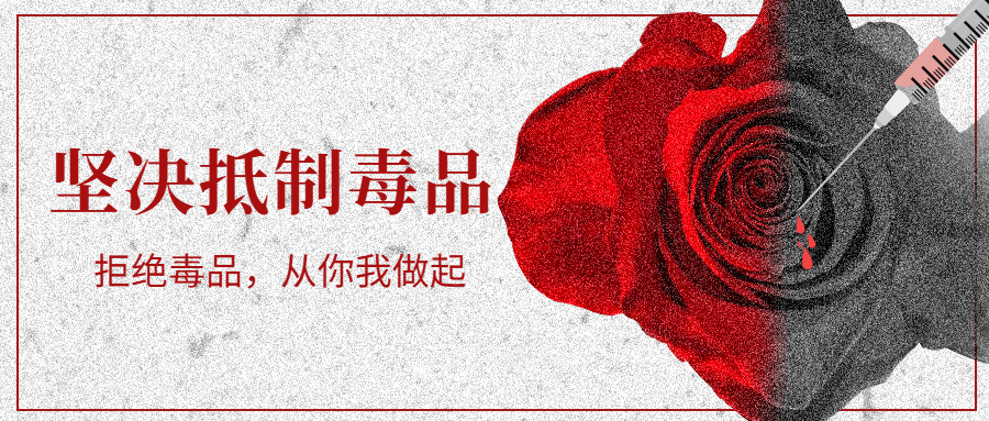 国际禁毒日公众号首图预览效果