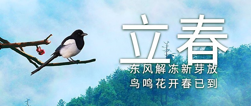立春祝福问候春天合成公众号首图