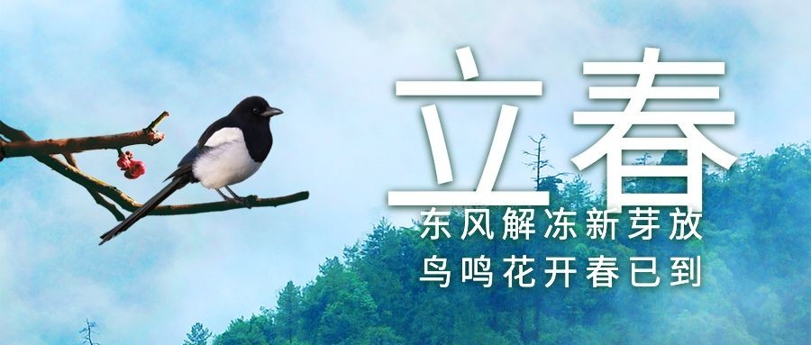 立春祝福问候春天合成公众号首图