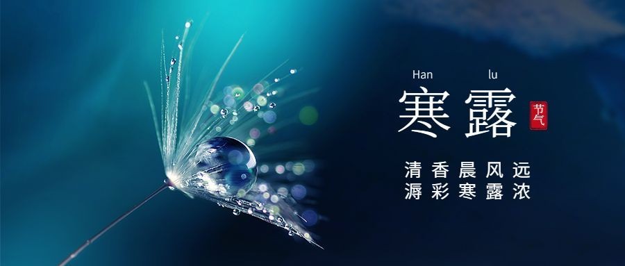 寒露节气祝福问候露珠枫叶实景首图
