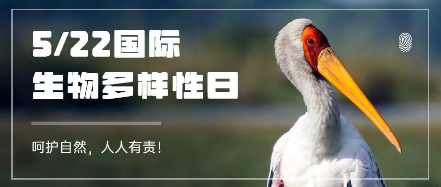 国际生物多样性日公众号首图预览效果