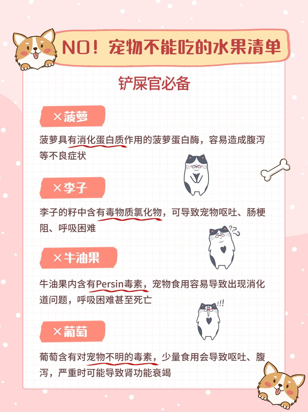 点击进入编辑 宠物知识攻略科普小红书配图预览效果