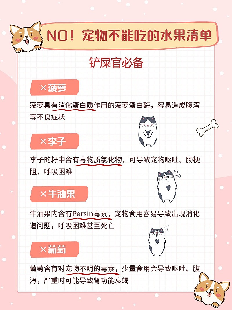 宠物知识攻略科普小红书配图