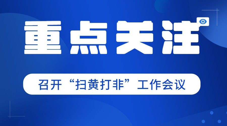 简约政务扫黄打非重点工作会议年终汇报总结横版海报banner