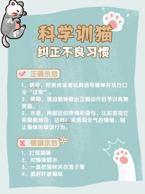 可爱宠物萌宠知识干货小红书配图预览效果