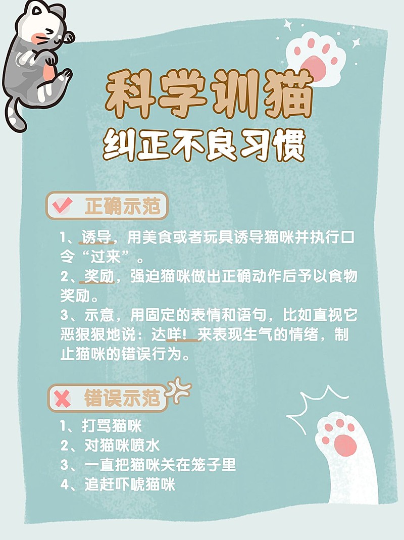 可爱宠物萌宠知识干货小红书配图