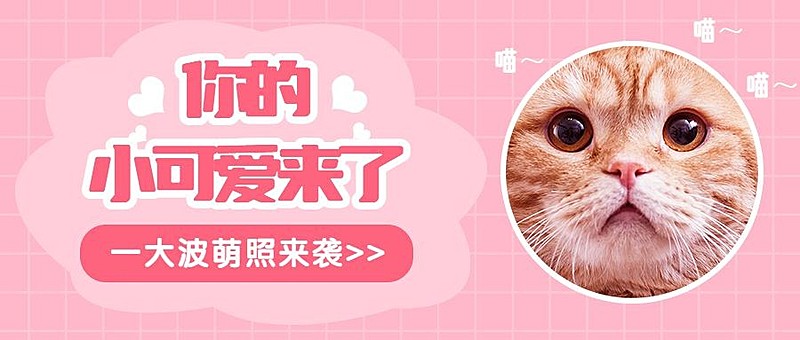 萌宠宠物店可爱实景主图公众号首图