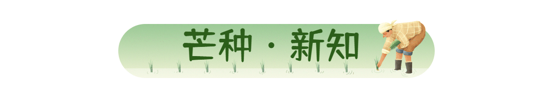 芒种节气动态文章标题绿色清新预览效果