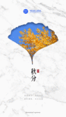 模板缩略图