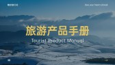模板缩略图