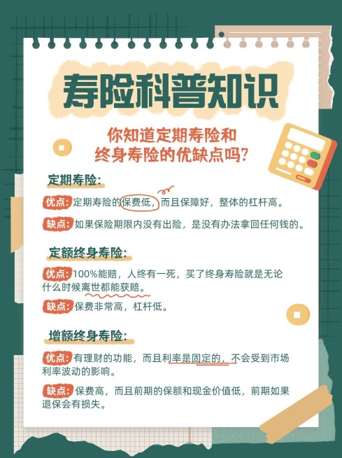 金融保险寿险知识科普理念推广小红书配图预览效果