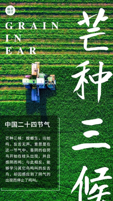 实景风6.5芒种节气知识科普预览效果