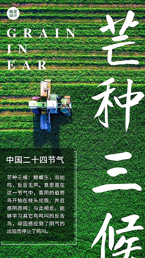 实景风6.5芒种节气知识科普