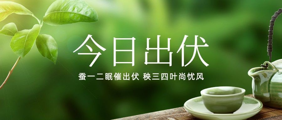 出伏夏季实景公众号首图预览效果