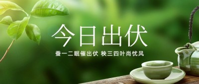 出伏夏季实景公众号首图