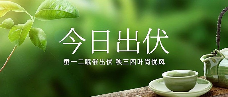 出伏夏季实景公众号首图