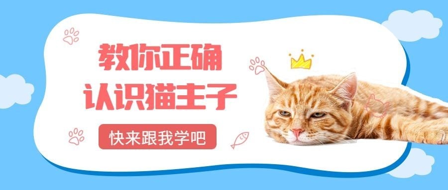 可爱萌宠宠物店/养宠秘诀攻略教程/公众号首图