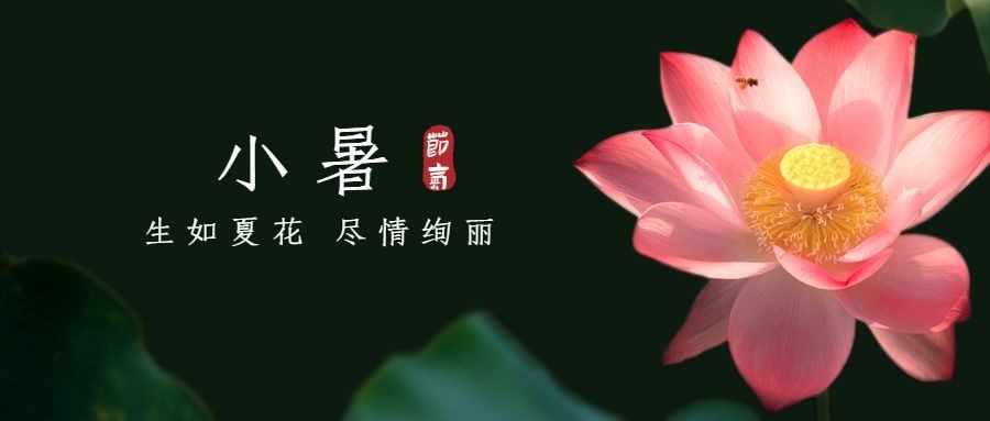 小暑节气祝福蜻蜓夏天公众号首图预览效果