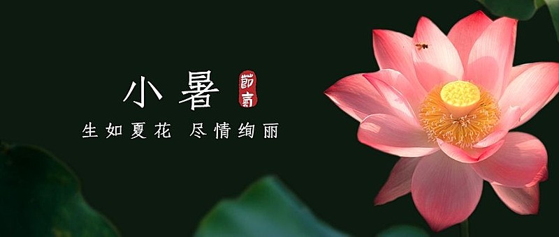 小暑节气祝福蜻蜓夏天公众号首图