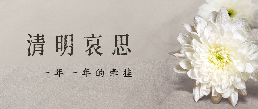 清明节追思悼念菊花实景公众号首图预览效果