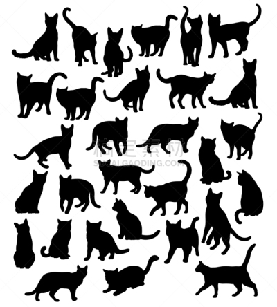 猫,宠物,秘密行动,图像,哺乳纲,动物,设计元素,矢量,坐,剪影