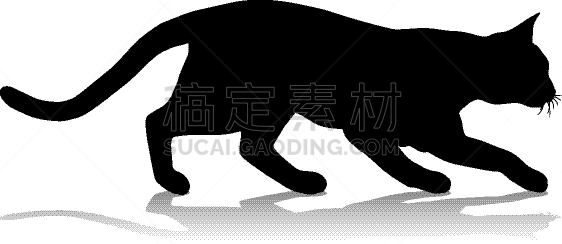 动物,宠物,猫,可爱的,动物主题,背景分离,英国,哺乳纲,猫科动物,品牌名称