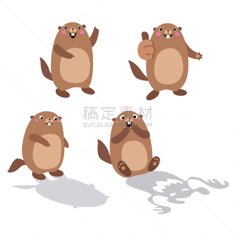 旱獭,平坦的,两只动物,可爱的,摆拍,云,天气,二月,布置,震惊