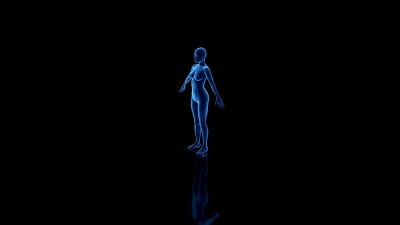 女性身体线框