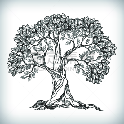 铅笔,复古风格,植物,背景,草图,绘画插图,自然,符号,古老的,档案