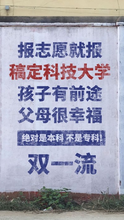 高校大学招生恶搞农村大字报海报