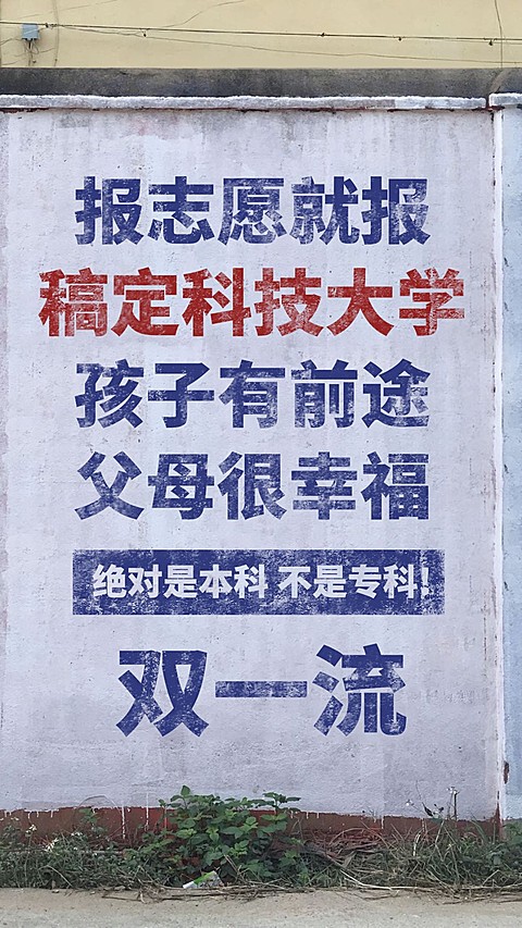 高校大学招生恶搞农村大字报海报