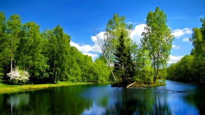 带森林湖泊的夏日蓝景
